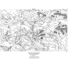 Mapa form geomorfologicznych 522.33