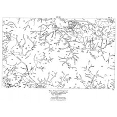 Mapa form geomorfologicznych 531.32
