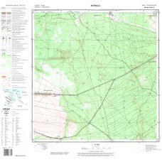 Mapa topograficzna M-34-51-D-b-4