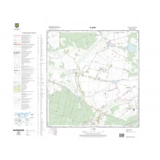 Mapa topograficzna M-34-37-D-d-4 (SOK)