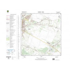 Mapa topograficzna M-34-38-B-d-2 (SOK)