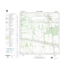 Mapa topograficzna M-34-39-A-b-3 (SOK)