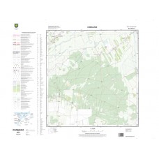 Mapa topograficzna M-34-39-B-d-3 (SOK)