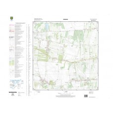 Mapa topograficzna M-34-39-D-a-2 (SOK)