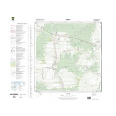 Mapa topograficzna M-34-39-D-c-2 (SOK)