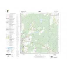 Mapa topograficzna M-34-39-D-d-2 (SOK)