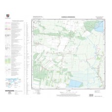 Mapa topograficzna M-34-40-A-d-4 (SOK)