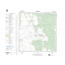 Mapa topograficzna M-34-50-A-d-3 (SOK)