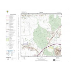 Mapa topograficzna M-34-50-D-c-1 (SOK)