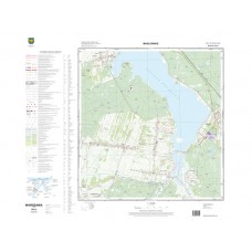 Mapa topograficzna M-34-51-A-b-2 (SOK)