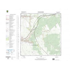 Mapa topograficzna M-34-51-D-c-2 (SOK)