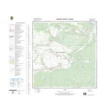 Mapa topograficzna M-34-51-D-d-4 (SOK)