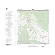 Mapa topograficzna M-34-52-A-d-1 (SOK)