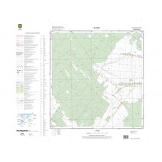 Mapa topograficzna M-34-52-A-d-2 (SOK)