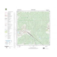 Mapa topograficzna M-34-61-D-b-1 (SOK)