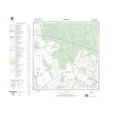 Mapa topograficzna M-34-62-D-c-4 (SOK)