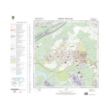 Mapa topograficzna M-34-63-A-d-2 (SOK)