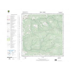 Mapa topograficzna M-34-86-B-b-4 (SOK)