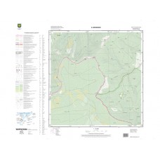 Mapa topograficzna M-34-87-B-b-4 (SOK)