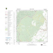 Mapa topograficzna M-34-87-C-b-4 (SOK)