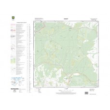 Mapa topograficzna M-34-87-C-d-2 (SOK)